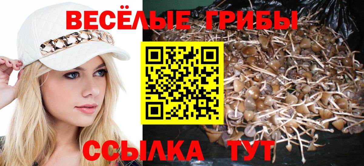 Борзя  продажа наркотиков  Псилоцибиновые грибы Psilocybe  Вход с VPN  Псилоцибиновые грибы Magic Shrooms 